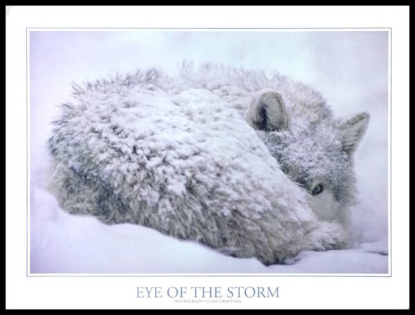 SGP GC016 Eye of the Storm